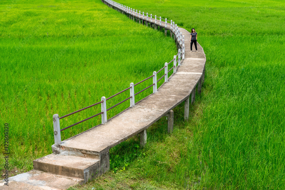 Obraz premium Thai woman standing on concrete walkway in green rice field