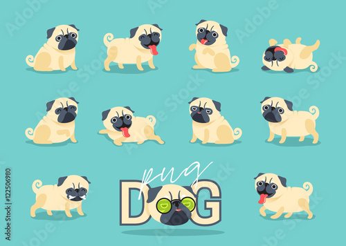 Cartoon character pug dog poses. Cute Pet dog in the flat style.