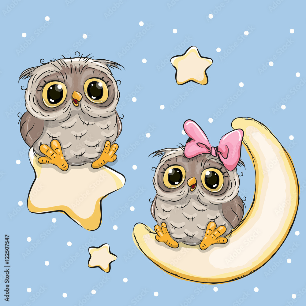 Fototapeta premium Valentine card with Lovers Owls on a moon and star