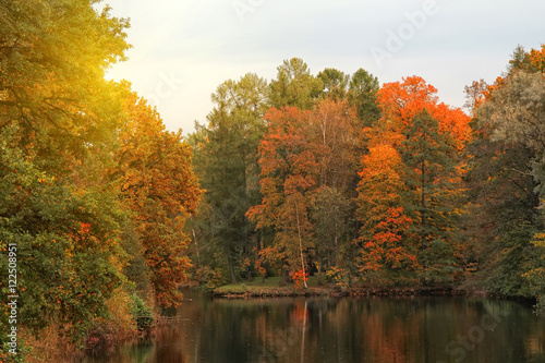 beautiful park at sunrise in autumn time. Nature background
