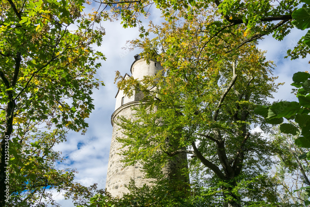 Fototapeta premium Blick durch die Blätter auf einen Turm einer Burg 