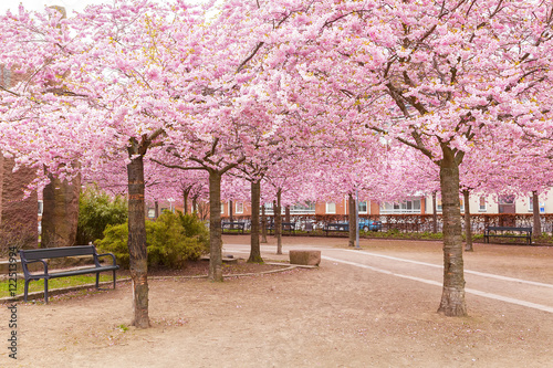 Park in Helsingborg Sweden