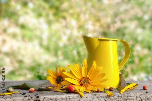 fleurs et récipient sur planche en bois dans jardin