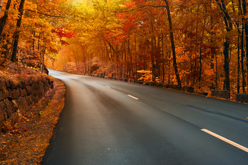 Road in the autumn. Asphalting of the road, turn to yellow, orange autumn forest. Beautiful autumn in the national park. USA. Maine. Acadia Park.
