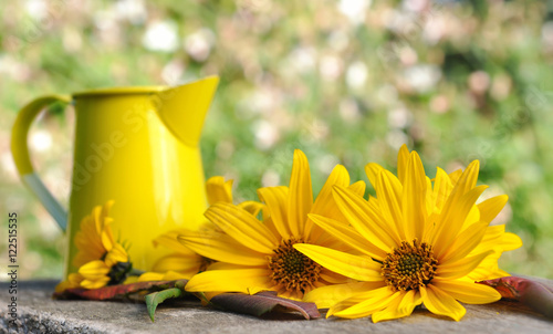 fleurs et récipient sur planche en bois dans jardin