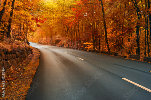 Road in the autumn. Asphalting of the road, turn to yellow, orange autumn forest. Beautiful autumn in the national park. USA. Maine. Acadia Park.
