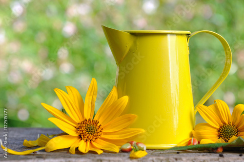 corolles de fleurs jaunes et récipient sur planche dans jardin photo