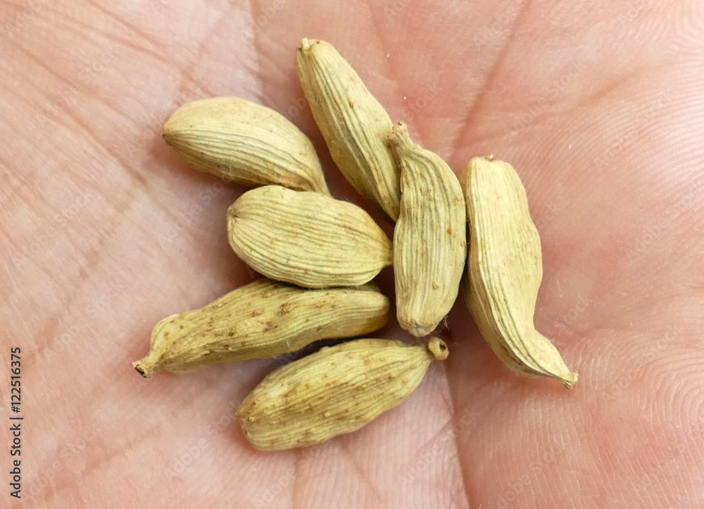 cardamomo Stock Photo Adobe Stock