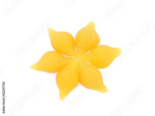 Pasta shells isolated with white background