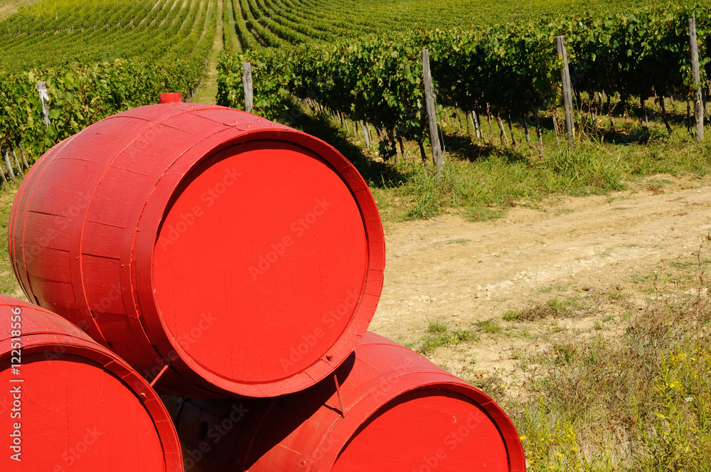 Vineyards with old wine barrels. Tuscany, Italy. Vineyards with old wine barrels. Tuscany, Italy.