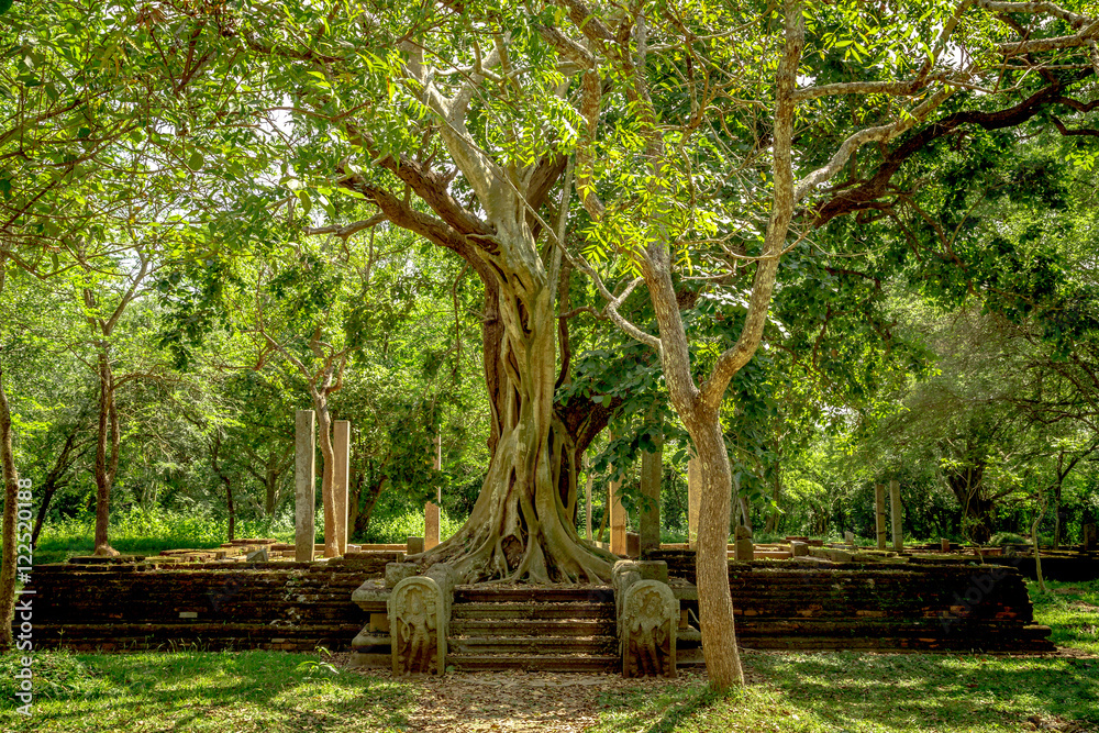 Ruins of a buddhist temple, Anuradhapura sacred city, Sri Lanka Ruins of a buddhist temple, Anuradhapura sacred city, Sri Lanka
