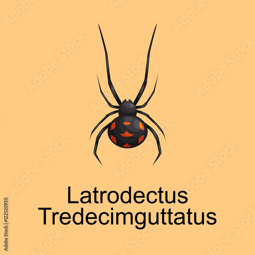 Spiders cartoon set, dangerous insects collection