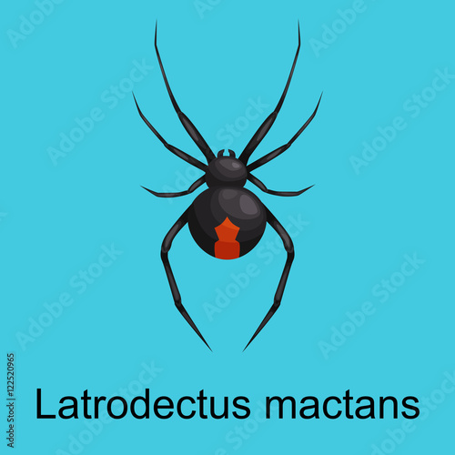 Spiders cartoon set, dangerous insects collection