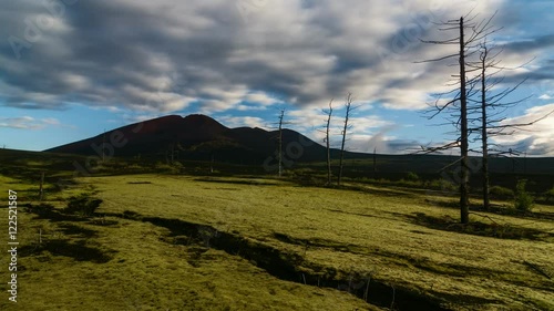 Time Lapse. Dead forest - the area, covered with a layer of packed volcanic ash. Place Tolbachik volcano eruption. Kamchatka, Russia.