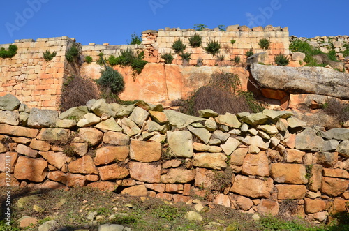Red stone mediterranean wall with vegetation and blue sky