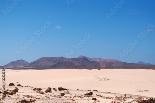 Fuerteventura  Isole Canarie  le dune di sabbia del parco naturale di Corralejo il 31 agosto 2016  11 chilometri di dune formatesi dalla sabbia del Sahara portata dal vento