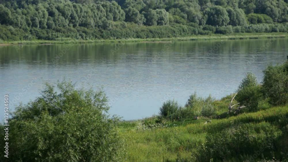 summer river and forest at riverside summer river and forest at riverside