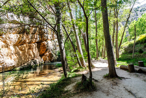 scenery of a forest and of the footpath that crosses it in the shore of the river guadalviar to its step along the town of Albarracin in the province of Teruel in Aragon, Spain