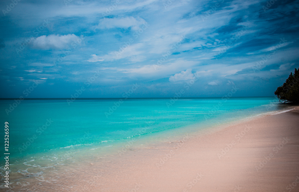 Fototapeta premium Indian Ocean- An Untouched Paradise, Niel Island 