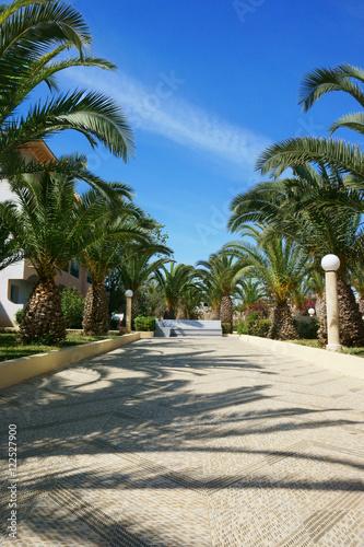 park with plants, with palm trees