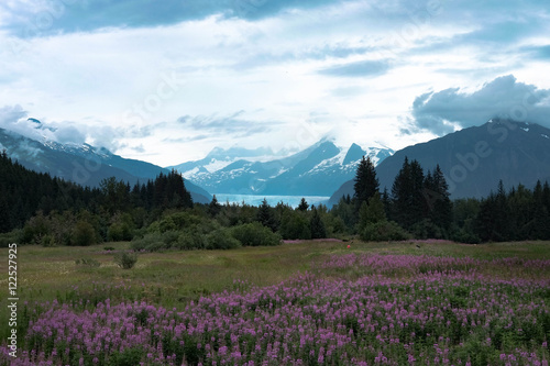 Mendenhall Glacier Juneau, AK