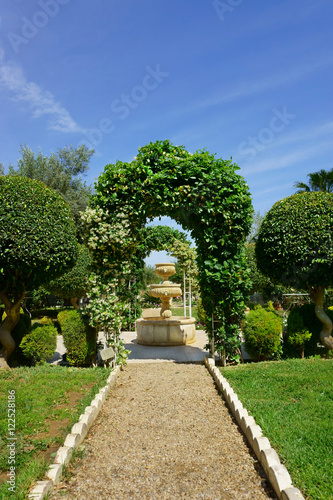 park with plants with arch