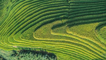 Handdoek met foto Rijstvelden Luchtfoto groene rijstterrassen China  © drdonut