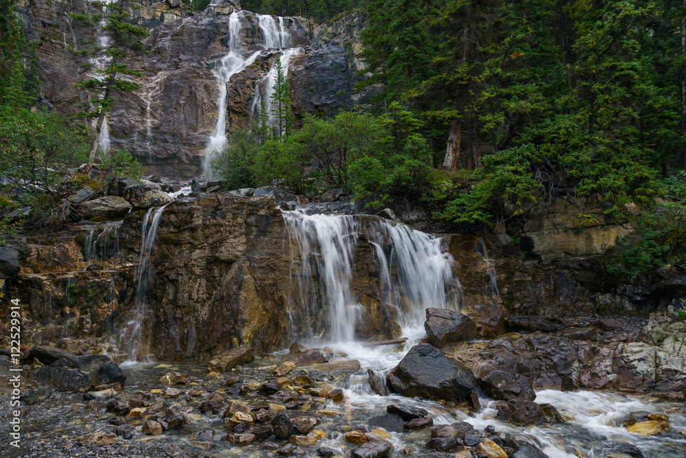 Fototapeta premium Tangle Falls