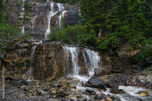 Tangle Falls
