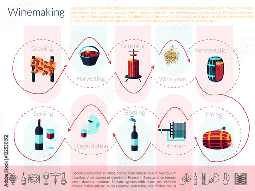 flat winemaking infographic