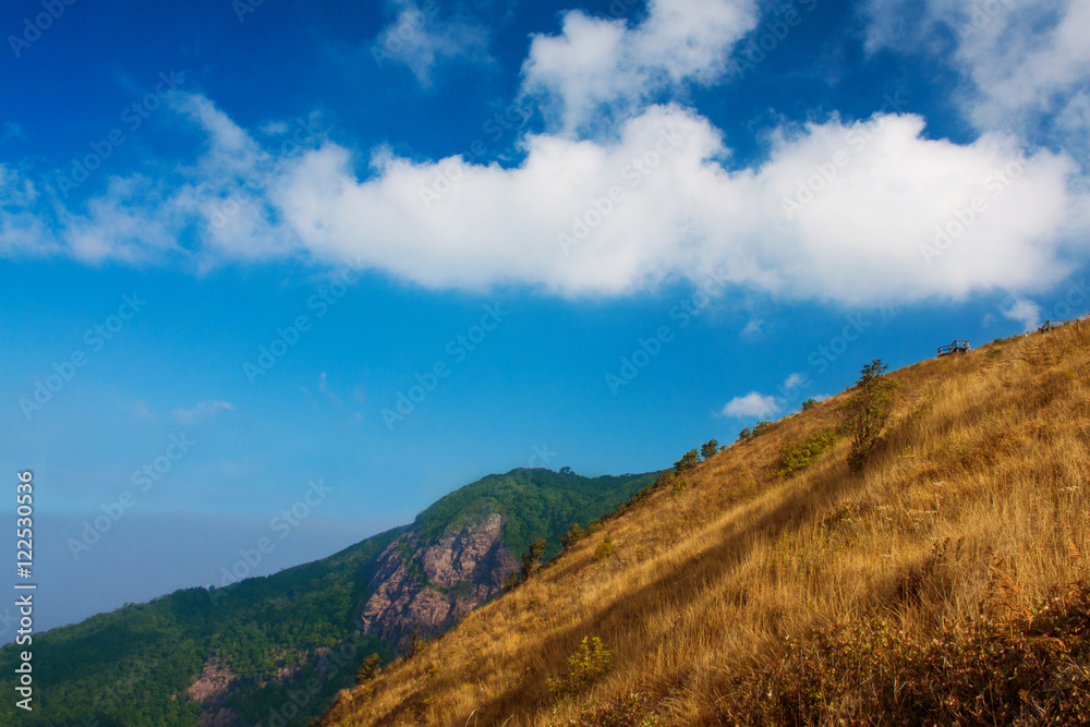 Mountain Mountain