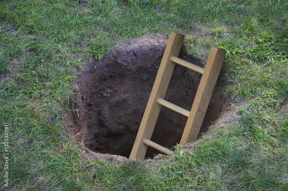 Ladder coming out of a hole in the ground Stock Photo Adobe Stock