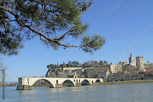 Le Rhône en Avignon