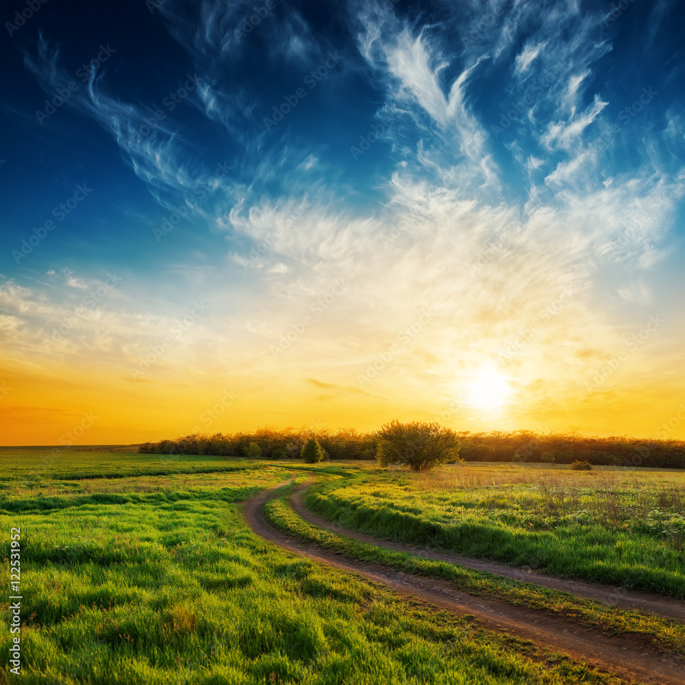 Obraz premium rural road in green grass and sunset in dramatic sky