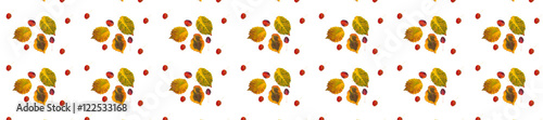 panorama pattern multicolored autumn leaves