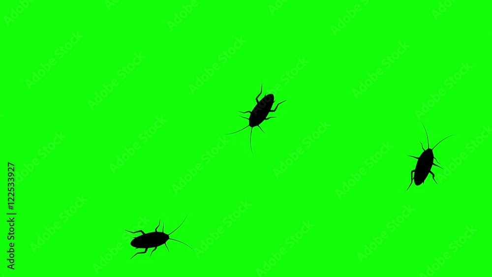 Three cockroach on green screen, CG animated silhouettes, seamless loop Three cockroach on green screen, CG animated silhouettes, seamless loop