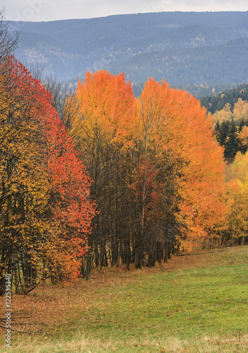 Autumn Landscape