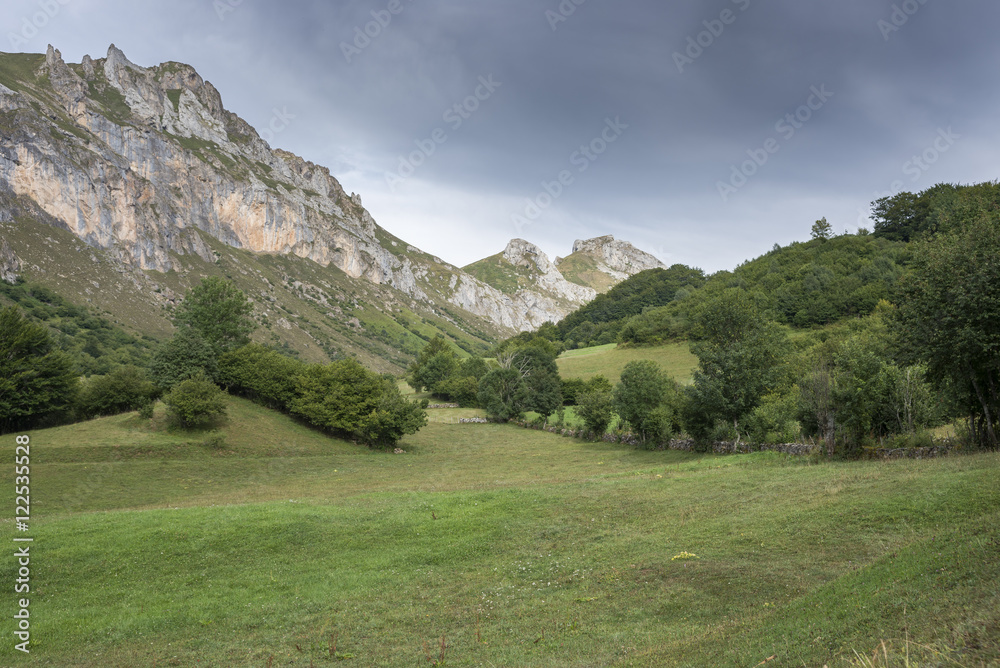 Hay meadows in Valle del Lago, one of fifteen parishes in Somiedo, a municipality located in the central area of the Cantabrian Mountains, Principality of Asturias, Spain