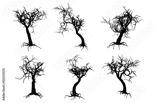 scary tree silhouettes on the white background
