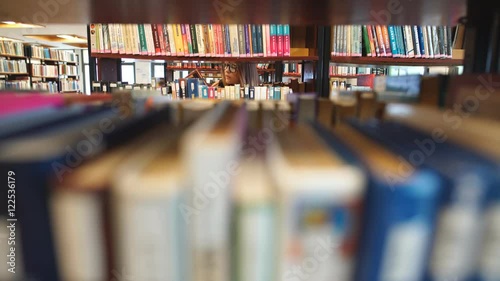 beautiful brunette student chooses a book in the library