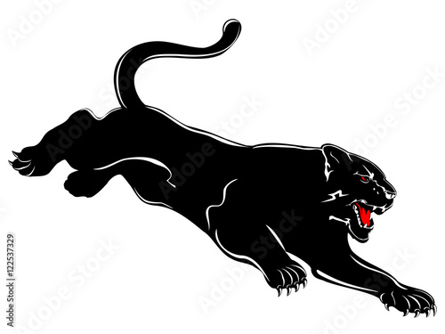 panther