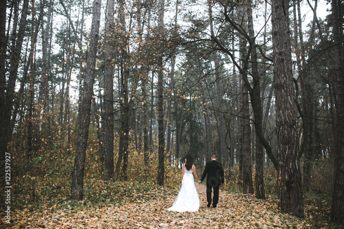 Fototapeta Naklejka Na Ścianę i Meble -  happy bride and groom posing in the autumn forest
