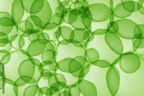Green circle overlap color abstract background