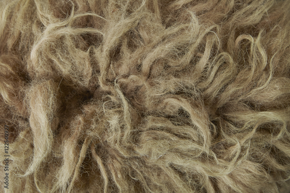 Fototapeta premium A full page close up of brown furry background texture