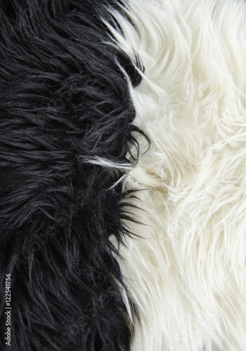 A full page of black and white fluffy material texture