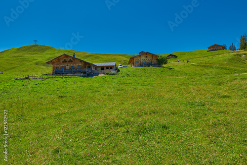 Abstract Mountain Meadow in Austrian Alps