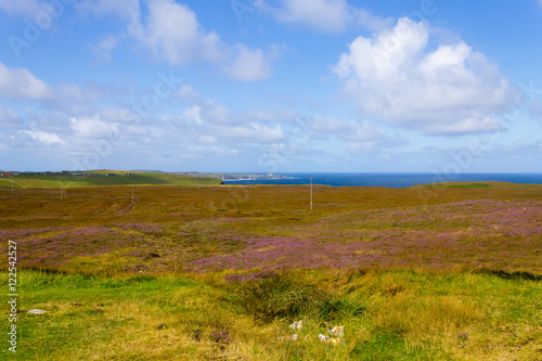 Rural scottish panorama