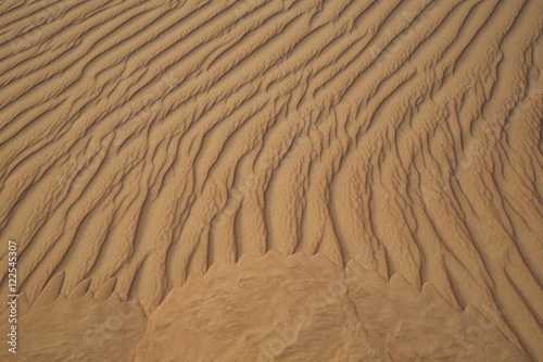 sand dunes of Empty Quarter desert