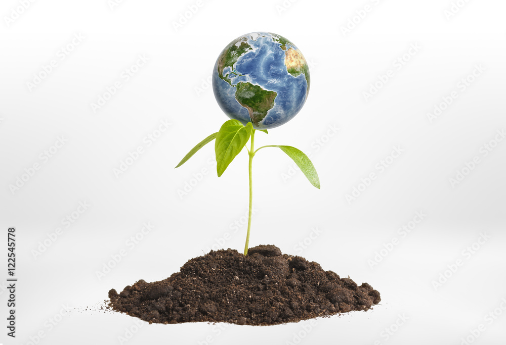 Close-up planet Earth on green sprout growing from the ground. Close-up planet Earth on green sprout growing from the ground.
