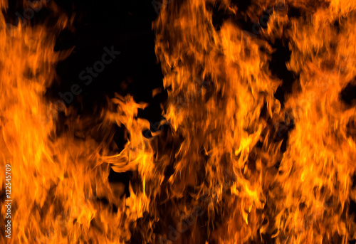 Fire flames on a black background